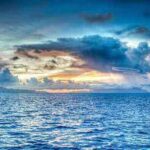 Base Tendriling Travel Expenses