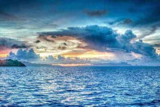 Base Tendriling Travel Expenses