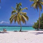 Must-Have Features in the Travel Business Portal