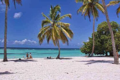 Must-Have Features in the Travel Business Portal