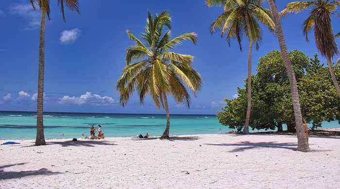 Must-Have Features in the Travel Business Portal