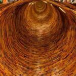 Teacher Education and Teacher Quality