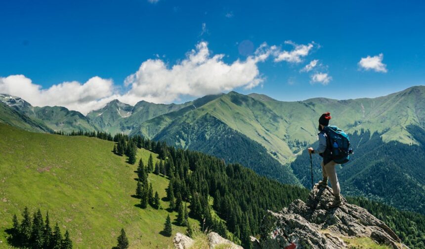 travel medical insurance