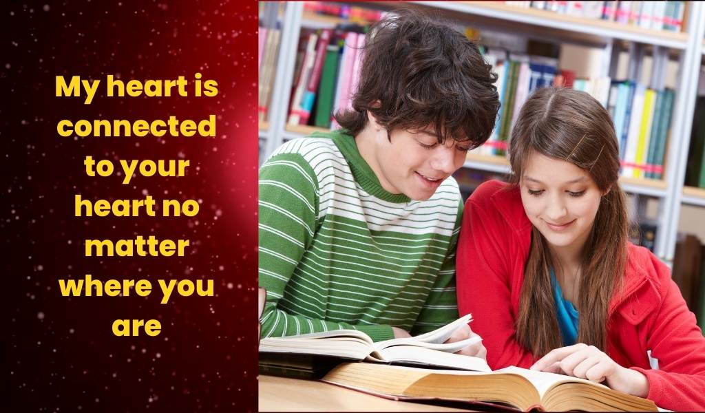 short love shayari in english