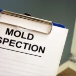 mold inspection