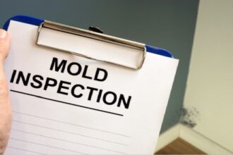 mold inspection