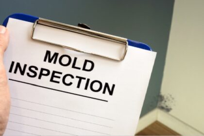 mold inspection