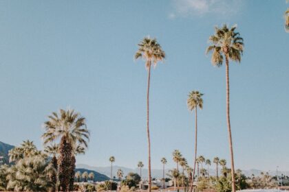 resorts in california