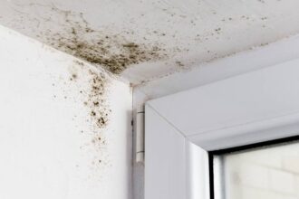 types of mold
