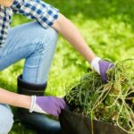 weed prevention strategies