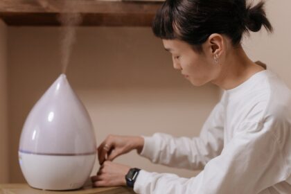 buying a humidifier