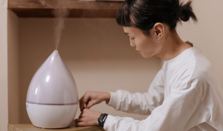 buying a humidifier