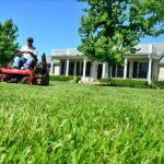 hire lawn care providers
