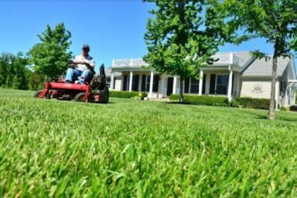 hire lawn care providers