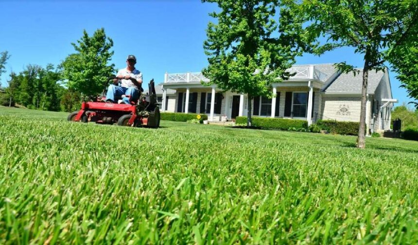 hire lawn care providers