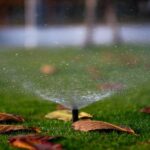 mistakes with lawn maintenance