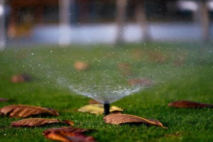 mistakes with lawn maintenance