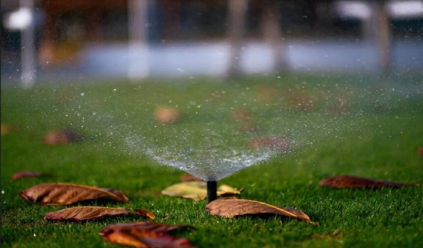 mistakes with lawn maintenance