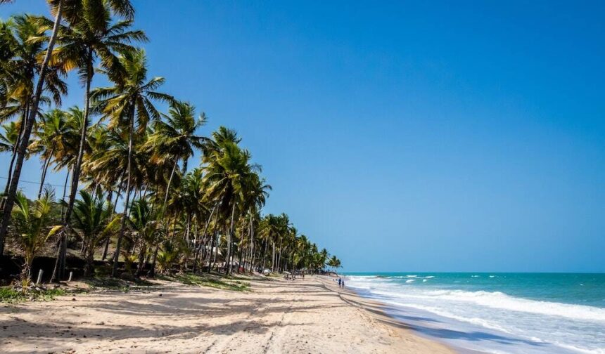 punta cana vacation